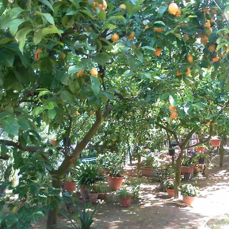 Casa Elena