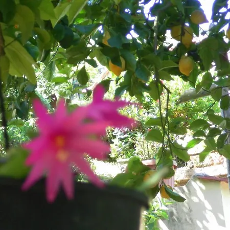 Casa Elena Guest house