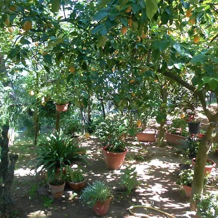 Casa Elena Sorrento